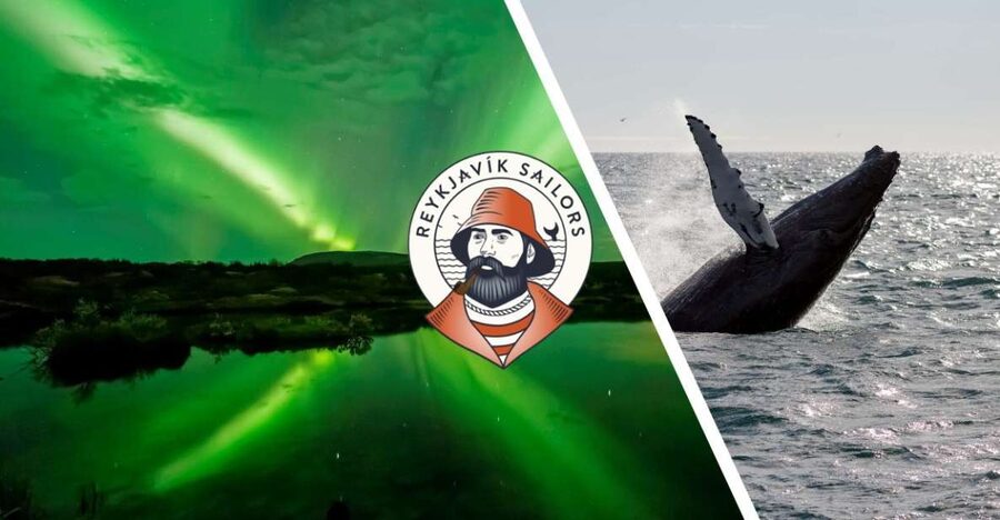 Reykjavik: Whale Watching & Northern Lights Combo Cruise - Why this combo works in Reykjavik