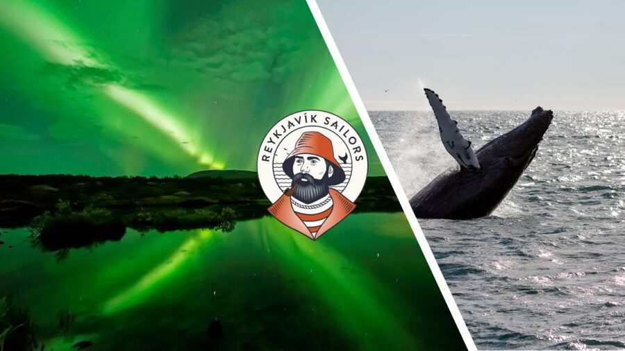 Reykjavik: Whale Watching & Northern Lights Combo Cruise - Setting out from Geirsgata 11
