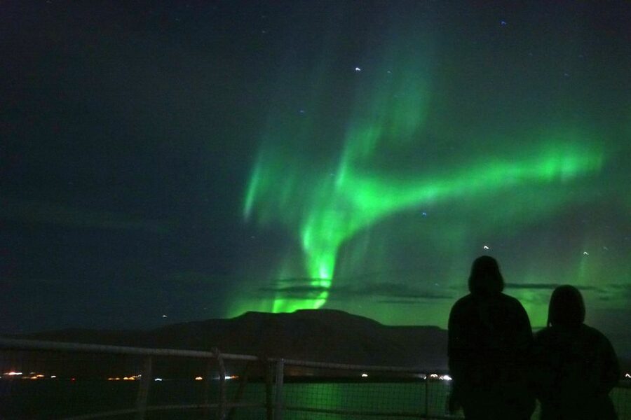 Reykjavik: Whales and Northern Lights Boat Tour - Returning after dark for the Northern Lights