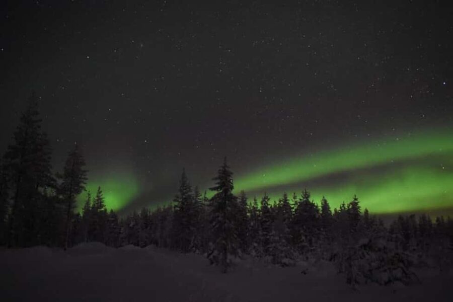 Rovaniemi: 2km Aurora Reindeer Safari Through the Forest - Key points at a glance
