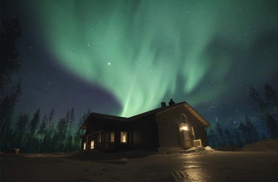 Rovaniemi: 2km Aurora Reindeer Safari Through the Forest - The ride begins with the reindeer