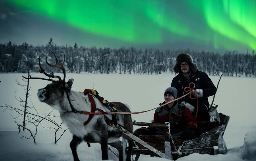 Rovaniemi: 2km Aurora Reindeer Safari Through the Forest - A private forest setting outside Rovaniemi