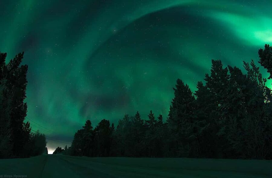 Rovaniemi: All-Inclusive Ranua Zoo Excursion & Aurora Dinner - Three hours back in Rovaniemi