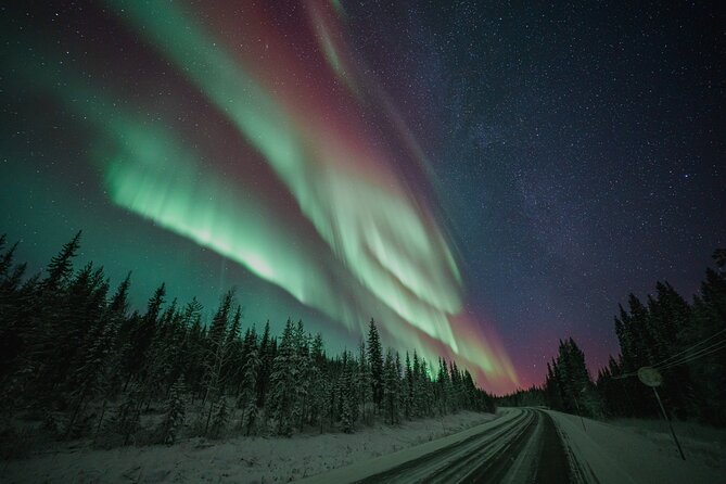 Rovaniemi: Aurora Activity Guarantee - 97% Success Rate Tour - Key points to know before booking
