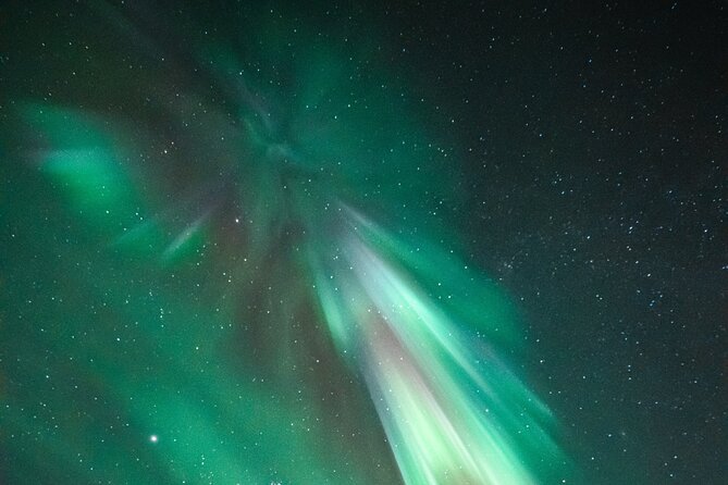 Rovaniemi: Aurora Activity Guarantee - 97% Success Rate Tour - Chasing the aurora from Rovaniemi at 8 pm