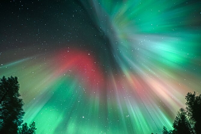 Rovaniemi: Aurora Activity Guarantee - 97% Success Rate Tour - Photography, email delivery, and what you receive