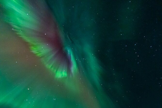 Rovaniemi: Aurora Activity Guarantee - 97% Success Rate Tour - Is $93.58 good value for a northern lights chase?