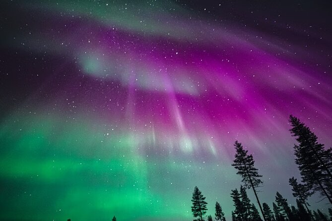 Rovaniemi: Aurora Activity Guarantee - 97% Success Rate Tour - Stop two: the first secret spot in Lapland
