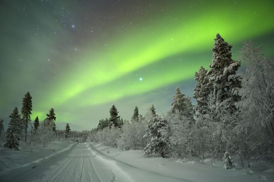 Rovaniemi: Aurora Borealis Snowmobile Safari with Campfire - What this Rovaniemi snowmobile safari really feels like
