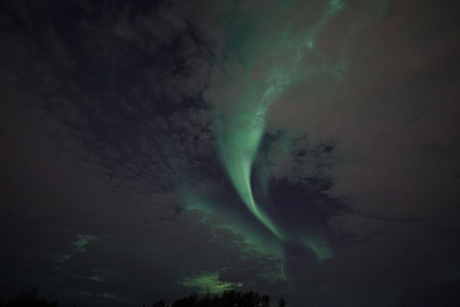 Rovaniemi: Aurora Borealis Tour - The campfire stop, sausages, and hot drinks