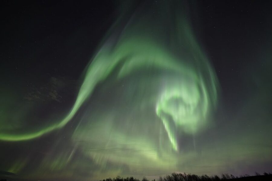 Rovaniemi: Aurora Borealis Tour - Who should choose this Rovaniemi tour?