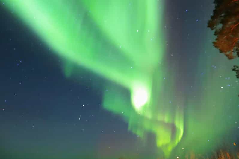 Rovaniemi: Aurora Borealis Trip – Autumn - Key points to know before booking