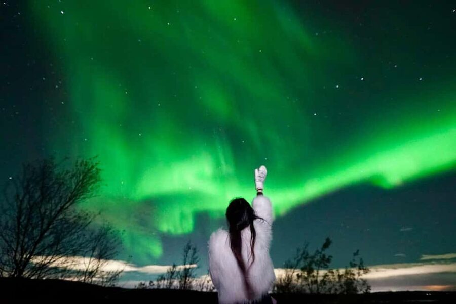 Rovaniemi Aurora Fire & Flavour — Arctic Gastronomy Tour - Why this aurora tour feels different