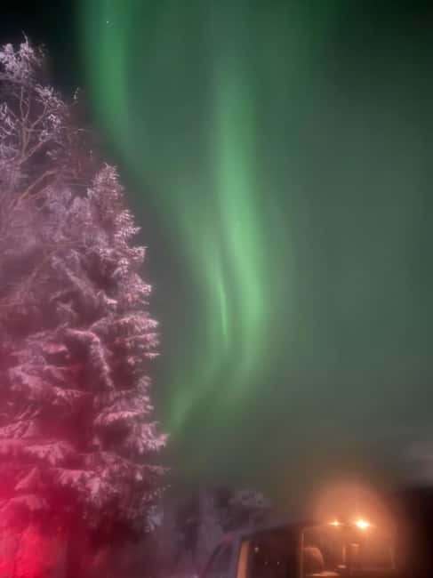 Rovaniemi Aurora Fire & Flavour — Arctic Gastronomy Tour - Professional photos without carrying the whole evening