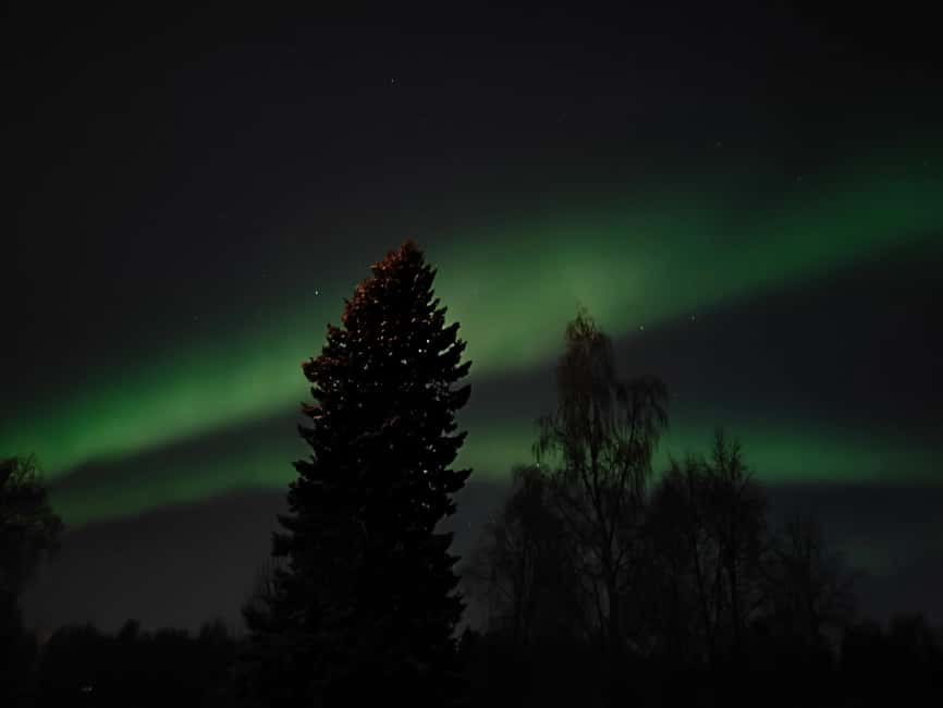 Rovaniemi: Aurora Hunt Snowshoeing Adventure with Guide - Walking through the Ounasvaara forest