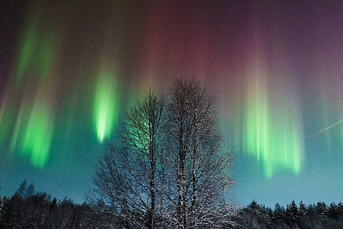 Rovaniemi: Aurora Hunt with Photograph & money back guarantee - Why this aurora hunt is different