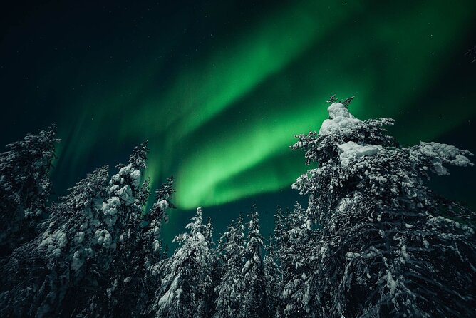 Rovaniemi: Aurora Hunt with Photograph & money back guarantee - Guides who keep working when conditions turn poor