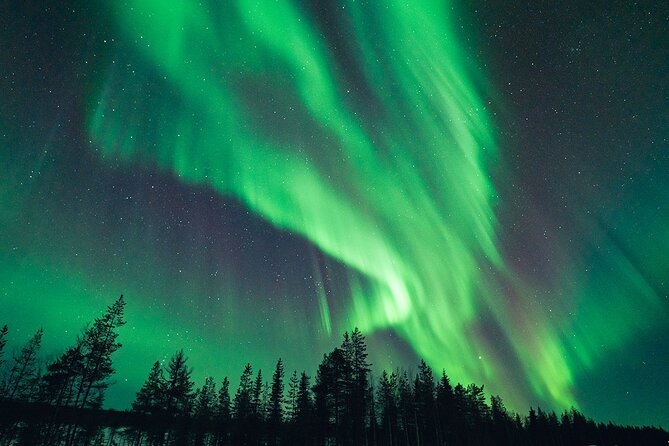 Rovaniemi: Aurora Hunt with Photograph & money back guarantee - Reading the sky before choosing a route