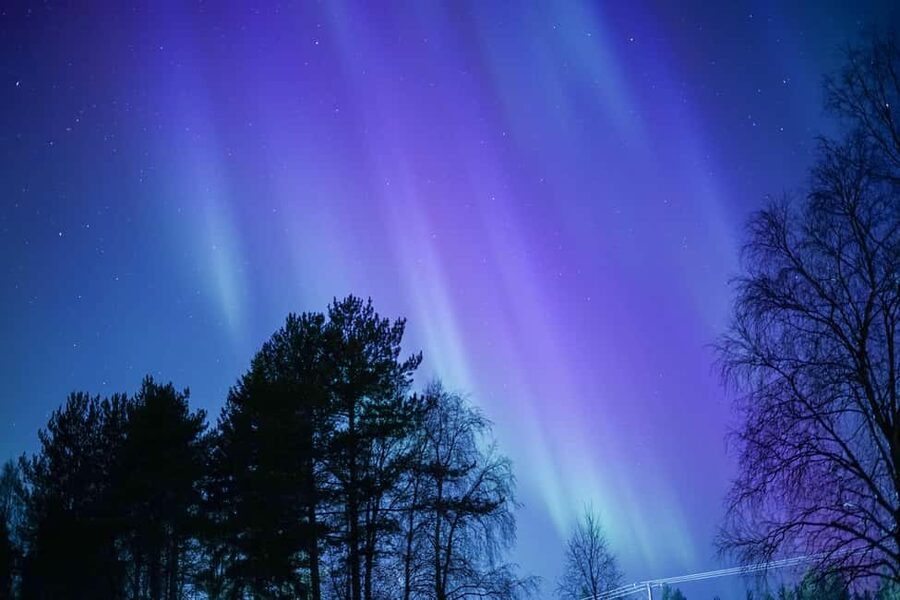 Rovaniemi: Aurora hunting and a fireside BBQ experience - Should You Book It?