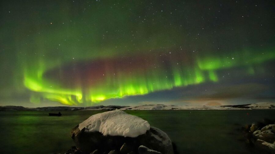 Rovaniemi: Aurora Hunting Photography Tour(98% Success Rate) - Key points to know before you book