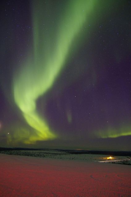 Rovaniemi: Aurora Hunting Photography Tour(98% Success Rate) - Why this aurora hunt feels different