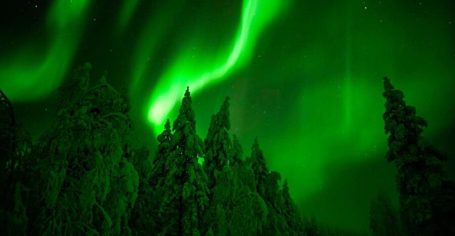 Rovaniemi: Guaranteed Northern Lights Hunting Adventure - Why this is a serious Aurora chase