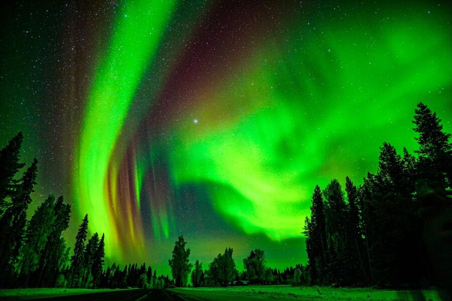 Rovaniemi: Guaranteed Northern Lights Hunting Adventure - What the stops are like