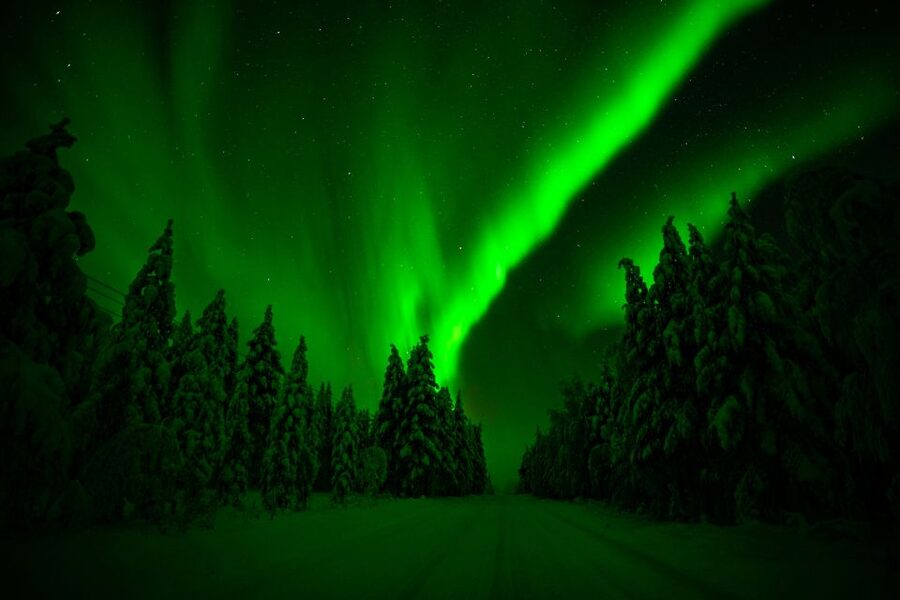Rovaniemi: Guaranteed Northern Lights Hunting Adventure - Small groups and the guide’s role