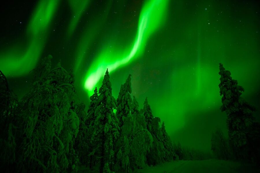 Rovaniemi: Guaranteed Northern Lights Hunting Adventure - Is $234 a fair price?