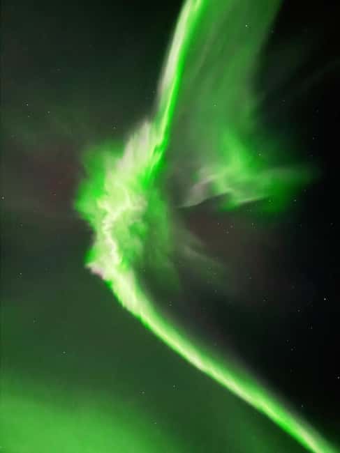 Rovaniemi: Guaranteed Northern Lights & Photography Tour - Who should book this tour
