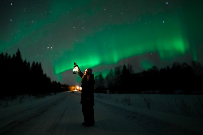 Rovaniemi: Guaranteed Northern Lights - Small Group & Photography - What the Northern Lights look like in person