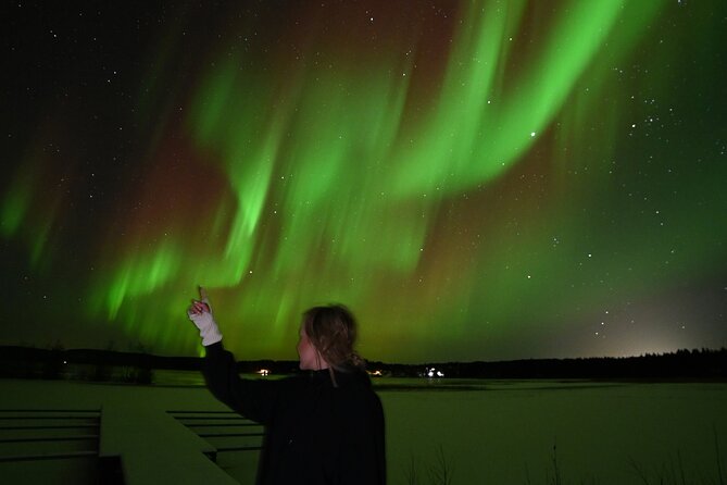 Rovaniemi: Guaranteed Northern Lights - Small Group & Photography - The free DSLR photos are a major value