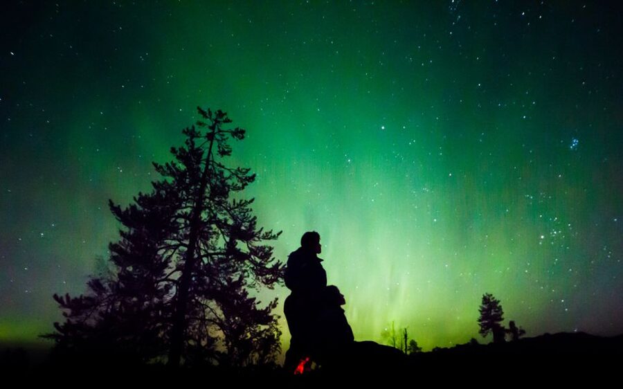 Rovaniemi: Guided Northern Lights Tour - Key points to know before booking