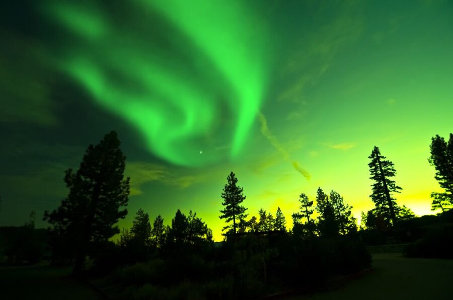 Rovaniemi: Guided Northern Lights Tour - Is $84 a fair price?