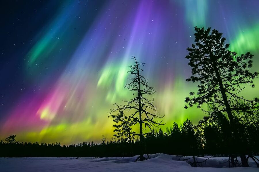 Rovaniemi: Ice Floating in Forest Lake with Aurora Borealis - Seeing the Northern Lights from the water