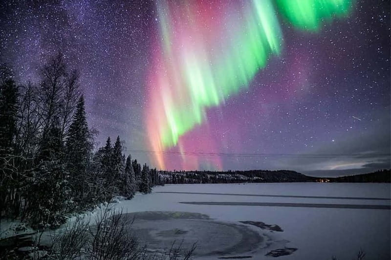 Rovaniemi: Ice Floating in Forest Lake with Aurora Borealis - Is $115 good value?