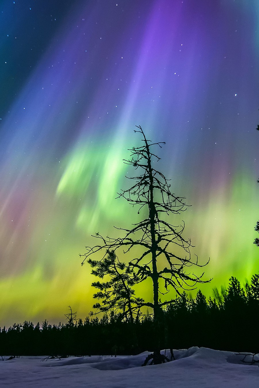 Rovaniemi: Ice Floating in Forest Lake with Aurora Borealis - What to wear and bring