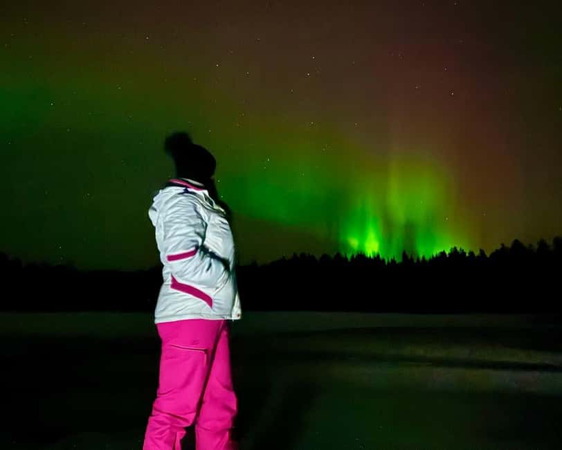 Rovaniemi: Night Tour in Search of the Aurora with BBQ - Stop one: a first look at Arctic Lapland