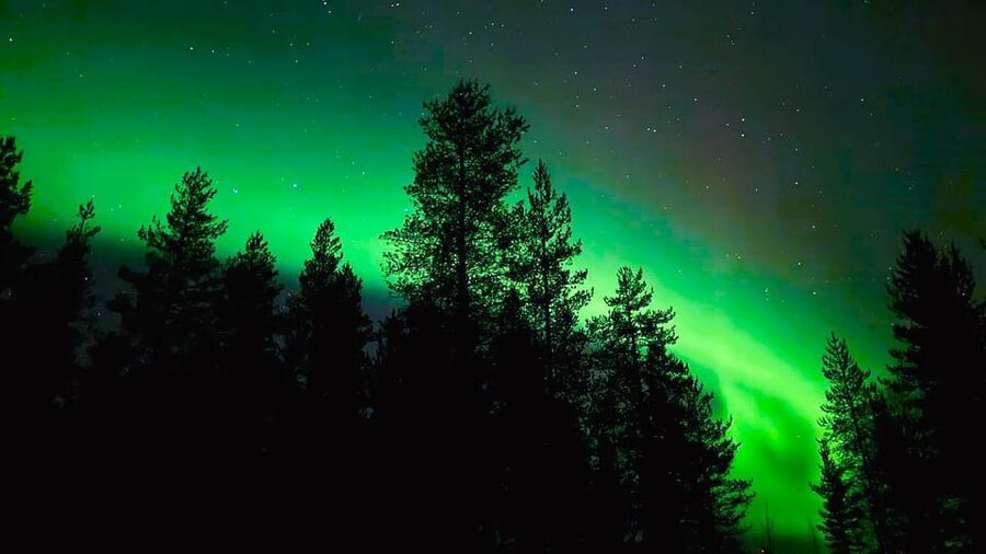 Rovaniemi: Night Tour in Search of the Aurora with BBQ - Is $68 a fair price?