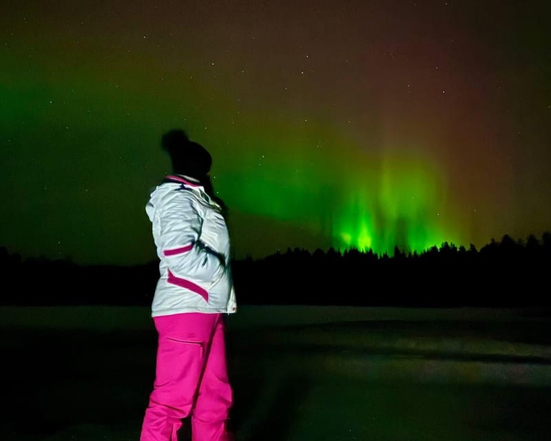 Rovaniemi: Night Tour in Search of the Aurora with BBQ - Who should book this aurora hunt?