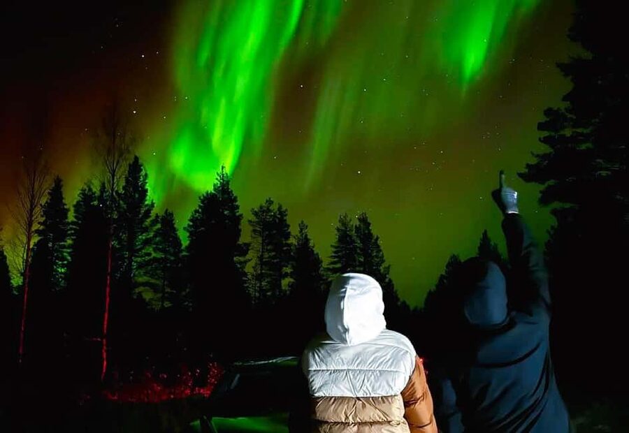 Rovaniemi: Night Tour in Search of the Aurora with BBQ - Stop two: the fire, BBQ, and longest pause