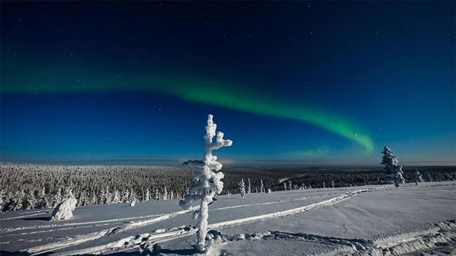 Rovaniemi: Northern Lights and Husky Sleigh Ride - Should you book it?