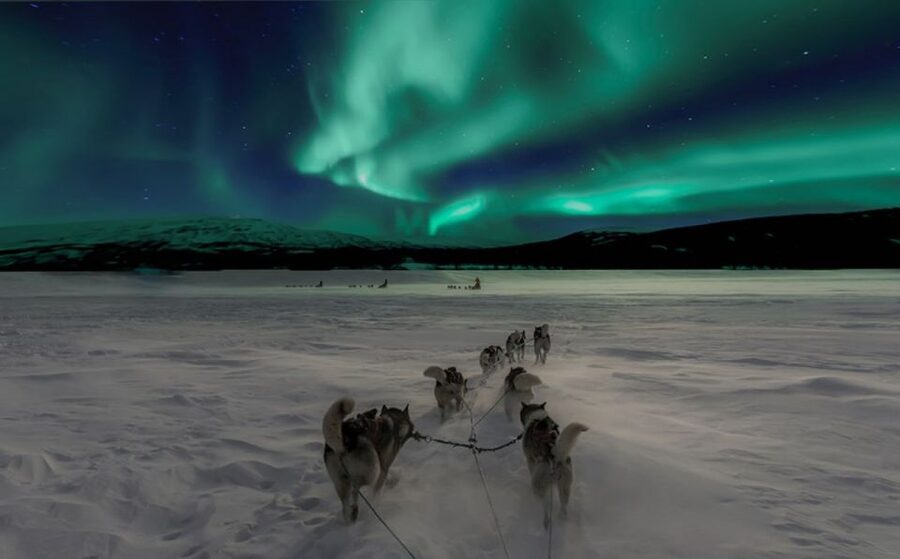 Rovaniemi: Northern Lights and Husky Sleigh Ride - The 5-kilometer sled ride