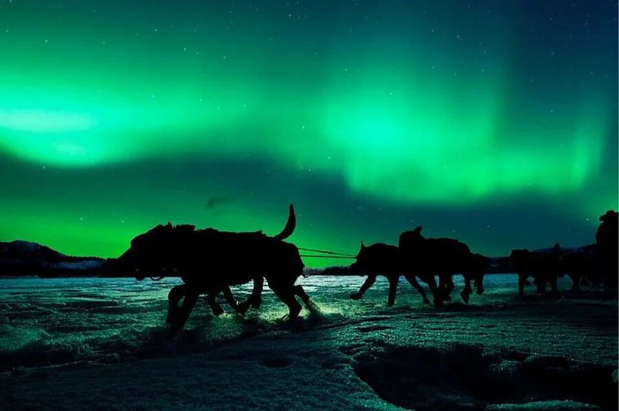 Rovaniemi: Northern Lights and Husky Sleigh Ride - Why the frozen lake can be the highlight