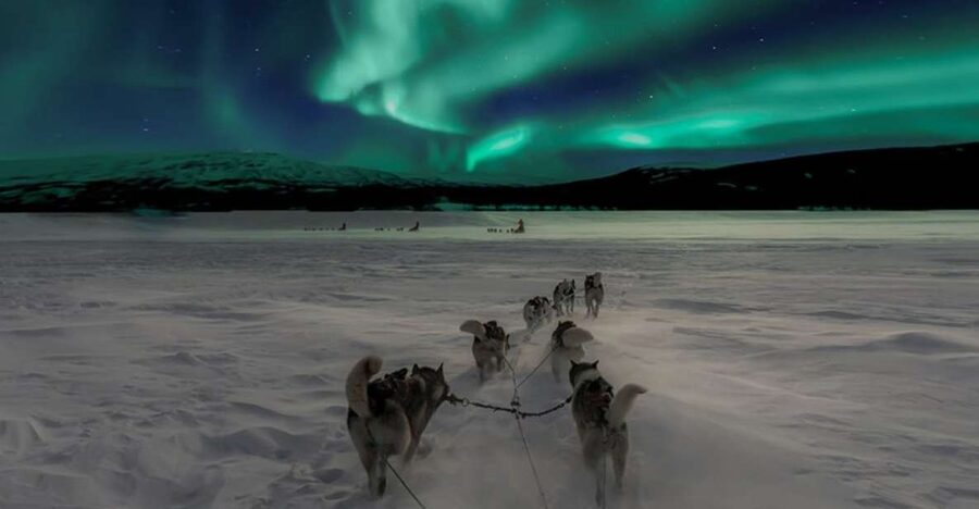 Rovaniemi: Northern Lights and Husky Sleigh Ride - Searching for the Northern Lights by car