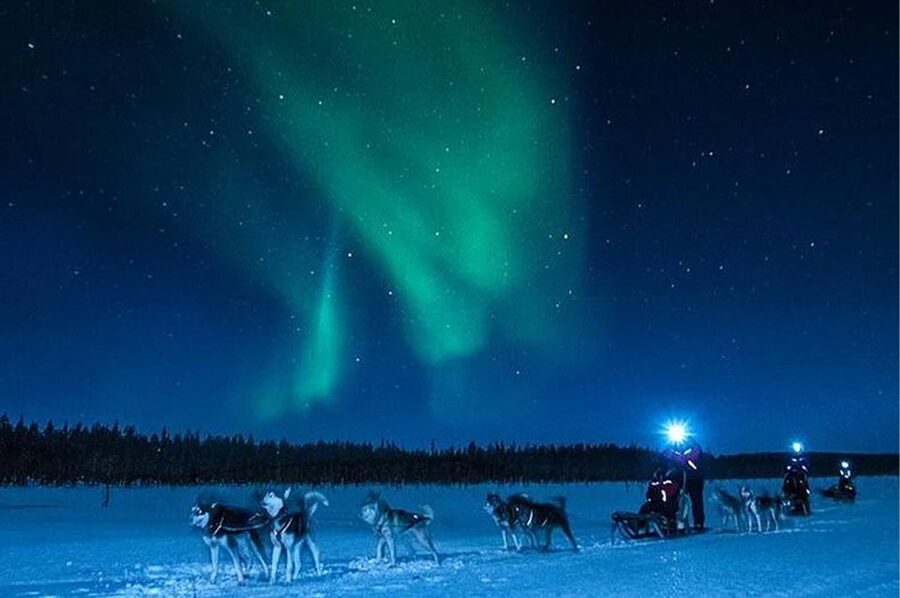 Rovaniemi: Northern Lights and Husky Sleigh Ride - Guides, timing, and the feel of the outing
