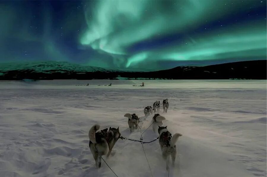 Rovaniemi: Northern Lights and Husky Sleigh Ride - Meeting the husky team at the farmhouse