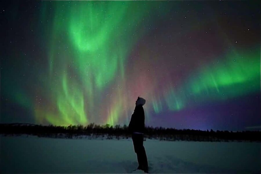 Rovaniemi: Northern Lights Aurora Guarantee Tour - Key points at a glance