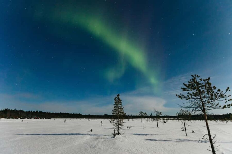 Rovaniemi: Northern Lights Family-Friendly Snowmobile Safari - Key points at a glance