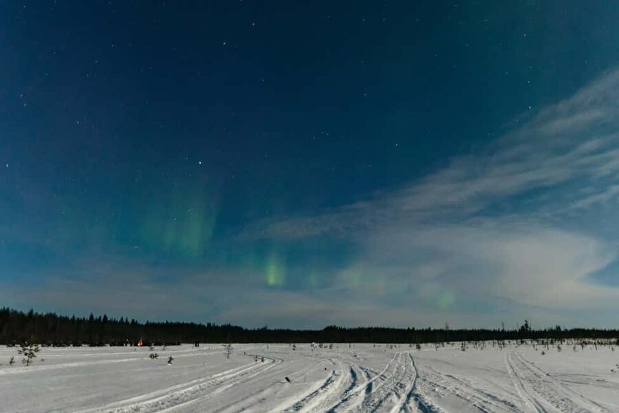 Rovaniemi: Northern Lights Family-Friendly Snowmobile Safari - Hunting for the Northern Lights without a promise